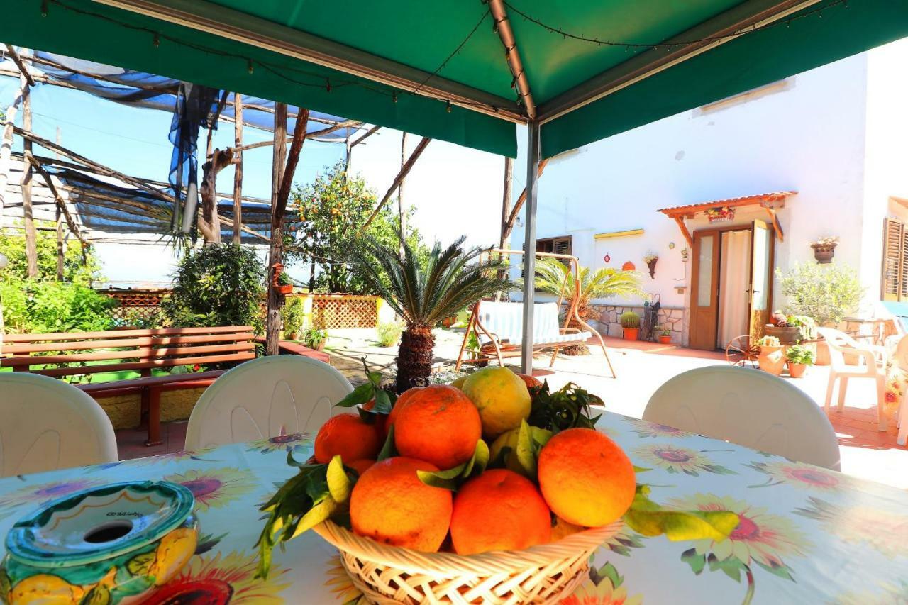 פיאנו די סורנטו La Maison De Titty & Margherita מראה חיצוני תמונה